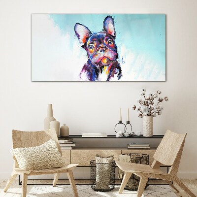 Colorful portrait of a French bulldog Glass Print