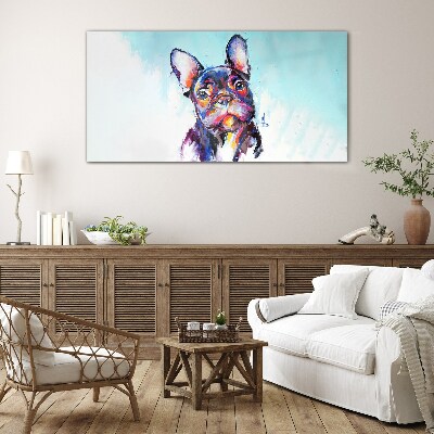 Colorful portrait of a French bulldog Glass Print