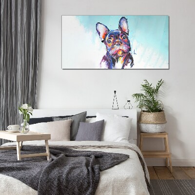 Colorful portrait of a French bulldog Glass Print