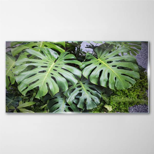 Green Monstera Leaves in Nature Glass Print