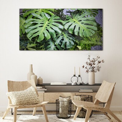 Green Monstera Leaves in Nature Glass Print