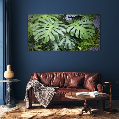 Green Monstera Leaves in Nature Glass Print