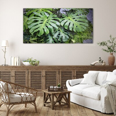 Green Monstera Leaves in Nature Glass Print