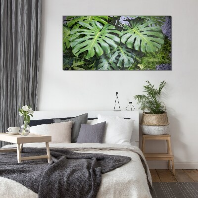 Green Monstera Leaves in Nature Glass Print