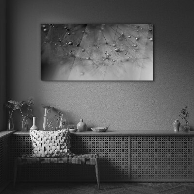 Dew drops on a dandelion Glass Print