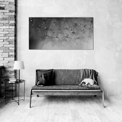 Dew drops on a dandelion Glass Print