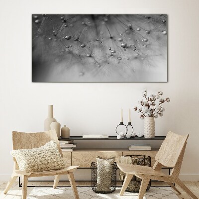 Dew drops on a dandelion Glass Print