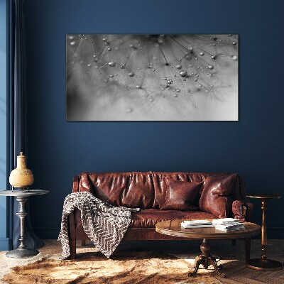 Dew drops on a dandelion Glass Print