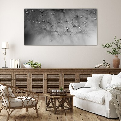 Dew drops on a dandelion Glass Print
