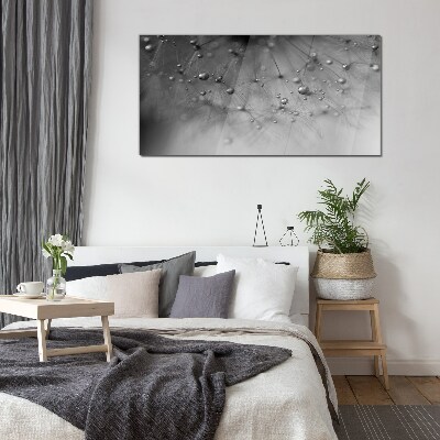 Dew drops on a dandelion Glass Print