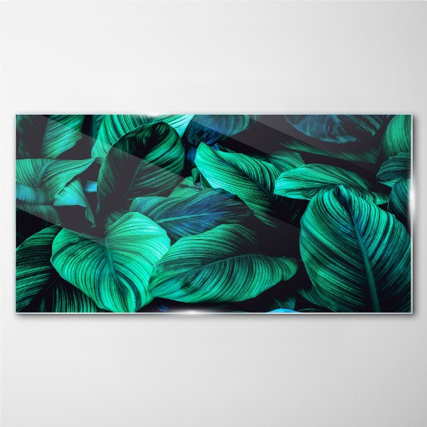 Green tropical leaves Glass Print