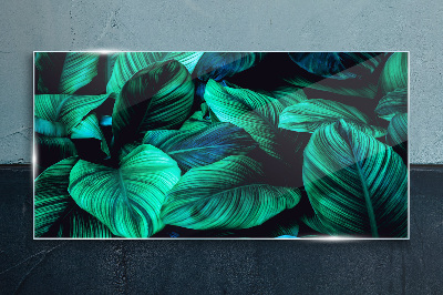 Green tropical leaves Glass Print