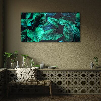 Green tropical leaves Glass Print