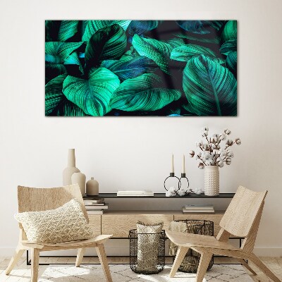 Green tropical leaves Glass Print