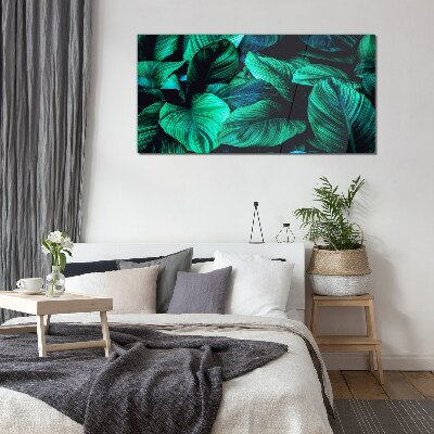 Green tropical leaves Glass Print
