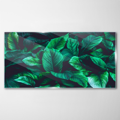 Green Symphony of Leaves Glass Print