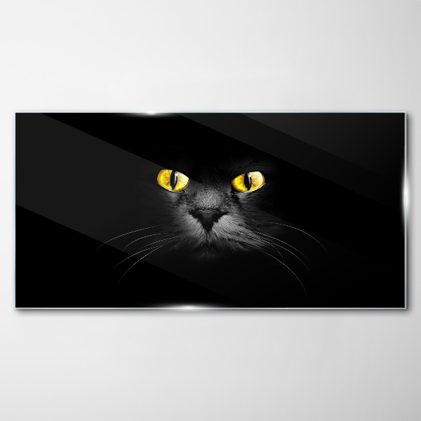 Golden eyes of a cat in shadow Glass Print