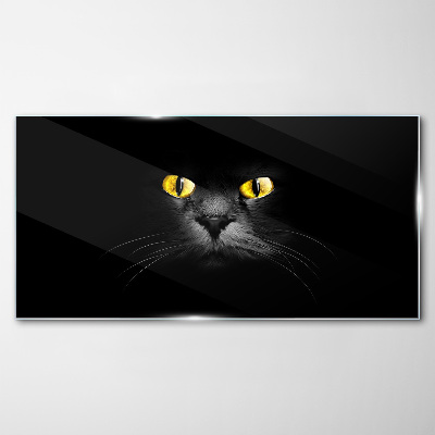 Golden eyes of a cat in shadow Glass Print
