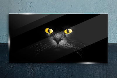Golden eyes of a cat in shadow Glass Print