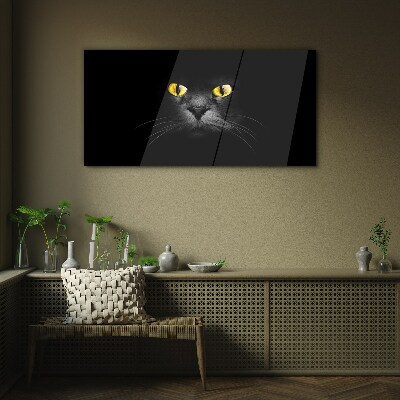 Golden eyes of a cat in shadow Glass Print