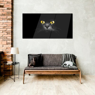 Golden eyes of a cat in shadow Glass Print