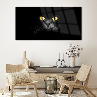Animals cats eyes Glass Print