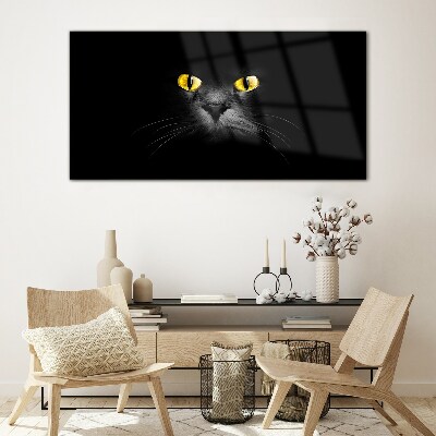 Golden eyes of a cat in shadow Glass Print