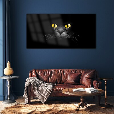 Golden eyes of a cat in shadow Glass Print