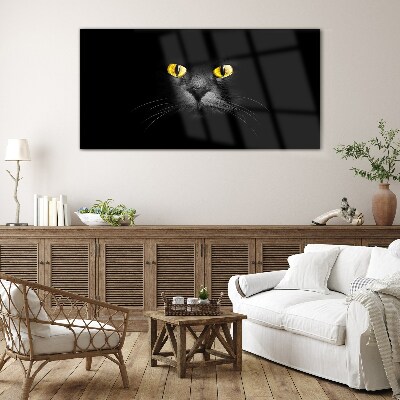 Golden eyes of a cat in shadow Glass Print