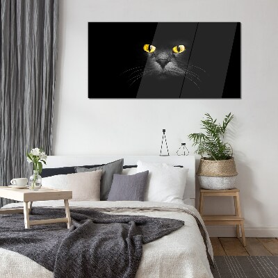 Golden eyes of a cat in shadow Glass Print