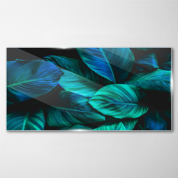 Green leaves in deep shade Glass Print