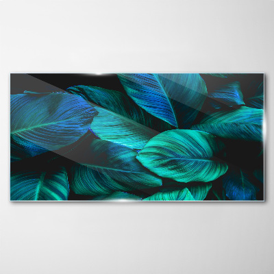 Green leaves in deep shade Glass Print