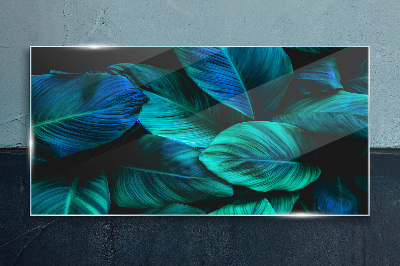 Green leaves in deep shade Glass Print