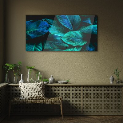 Green leaves in deep shade Glass Print