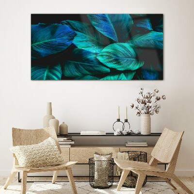 Green leaves in deep shade Glass Print