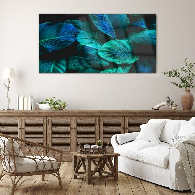 Green leaves in deep shade Glass Print