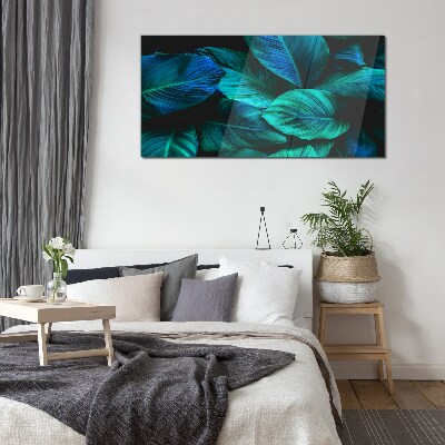 Green leaves in deep shade Glass Print
