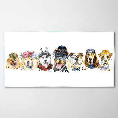 Dogs in fashionable accessories Glass Print