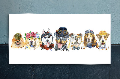 Dogs in fashionable accessories Glass Print