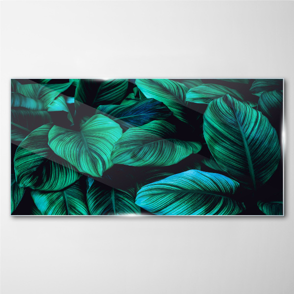 Green tropical leaves Glass Print