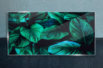 Green tropical leaves Glass Print
