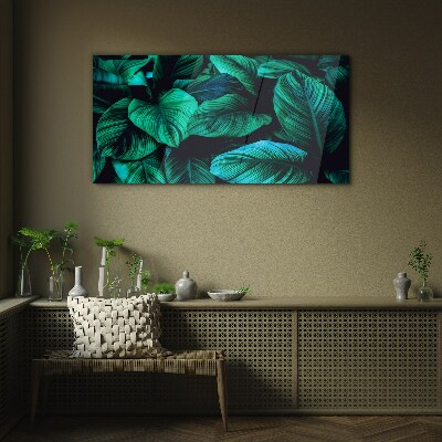 Green tropical leaves Glass Print