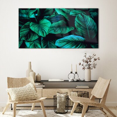 Green tropical leaves Glass Print