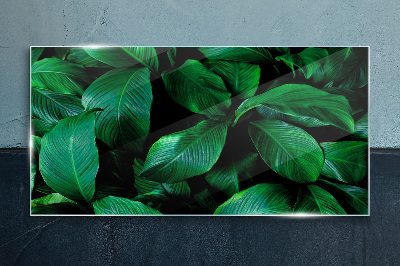 Green Symphony of Leaves Glass Print