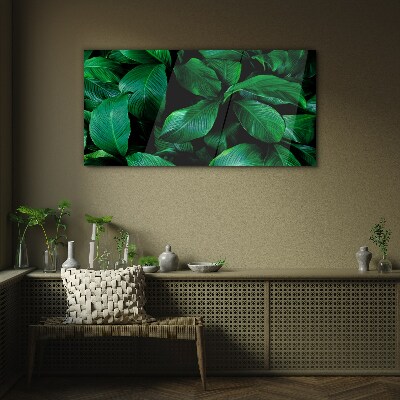 Flower leaves plant Glass Print