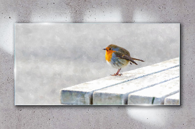 Robin on a white board Glass Wall Art