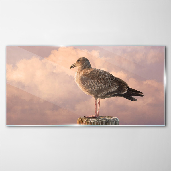 Animal bird seagull sky Glass Wall Art