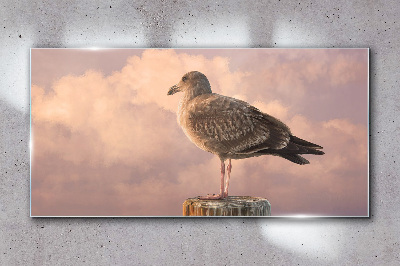 Animal bird seagull sky Glass Wall Art