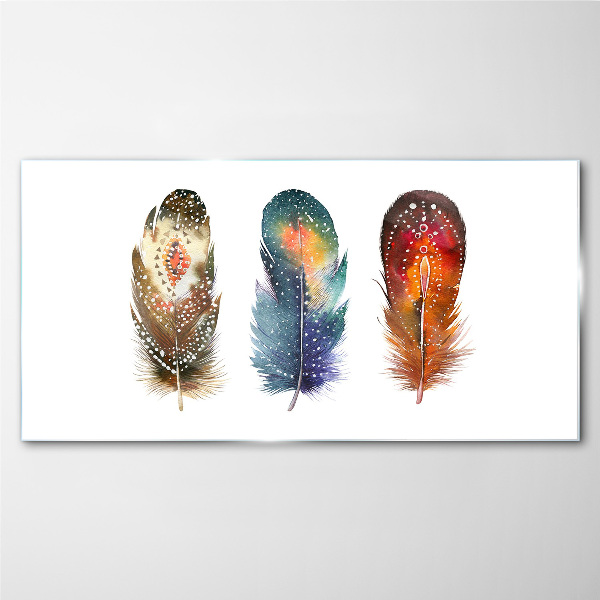 Colorful Feathers Glass Wall Art
