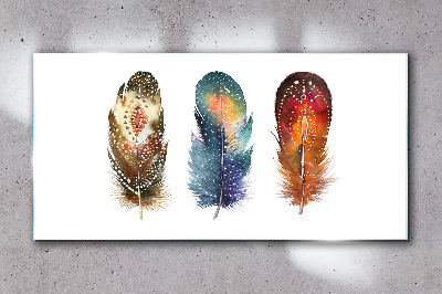 Colorful Feathers Glass Wall Art